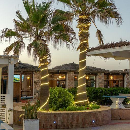 Hotel Mimid Dunes Beach Mirleft Zewnętrze zdjęcie
